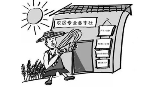 農(nóng)民專業(yè)合作社屬于企業(yè)法人嗎？農(nóng)民專業(yè)合作社的概念