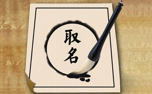 河南掌上個體商戶名稱自主申報字號是啥？