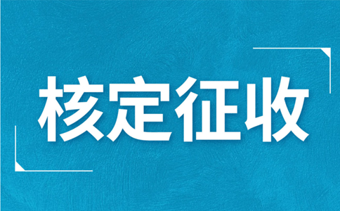 江西大額個(gè)體戶核定征收標(biāo)準(zhǔn)，2024年最新政策