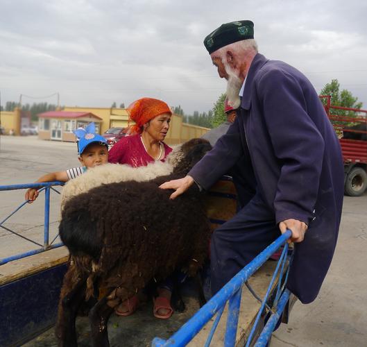 新疆喀什活畜交易市场